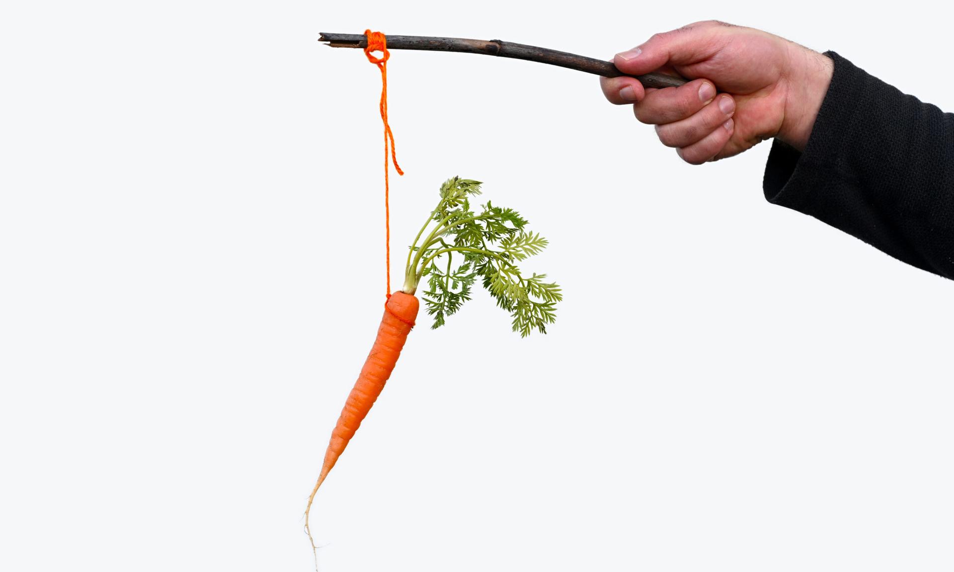 Carrot or stick? Experts recommend using positive reinforcement, fun and rewards as a means to keep employees engaged and interested in their cybersecurity awareness training. (Photo credit: chameleonseye/iStock via Getty Images)