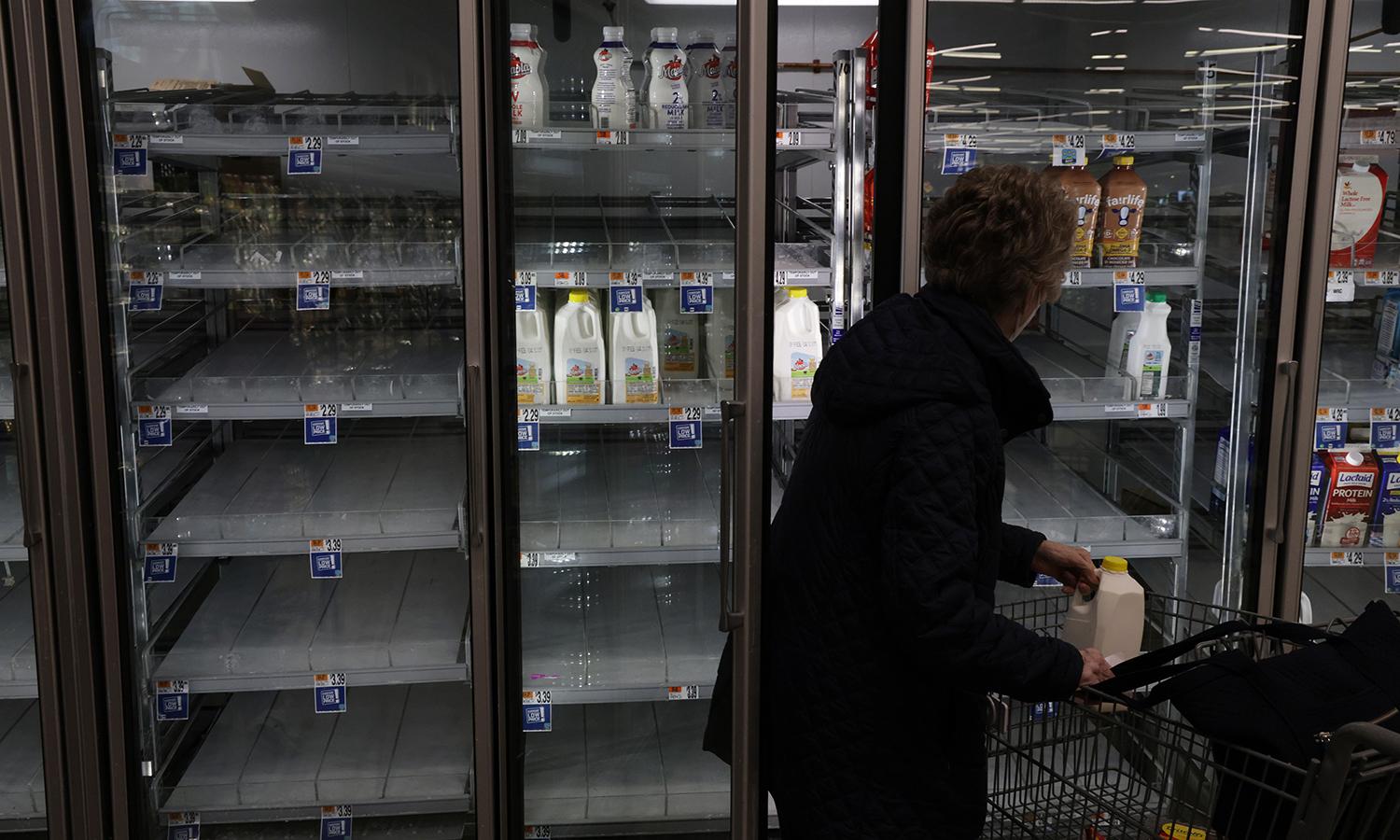 Difficulties related to supply chains is costing 38% of organizations at least $500,000 a year, according to research by Cleo. Pictured: A woman takes a jug of milk off of depleted refrigerated shelves at a Giant Food Supermarket Jan. 12, 2022, in Springfield, Va. (Photo by Alex Wong/Getty Images)