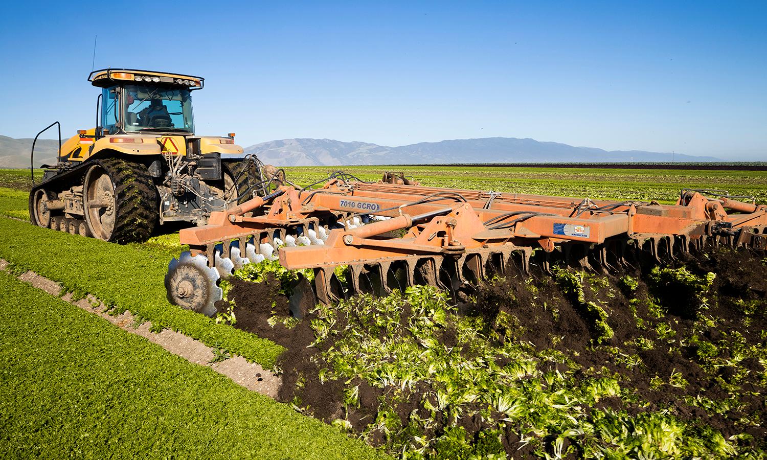 A tractor plows under what would have been Spring Mix, a popular and widely distributed salad mix on April 28, 2020, in Greenfield, Calif. (Photo by Brent Stirton/Getty Images)