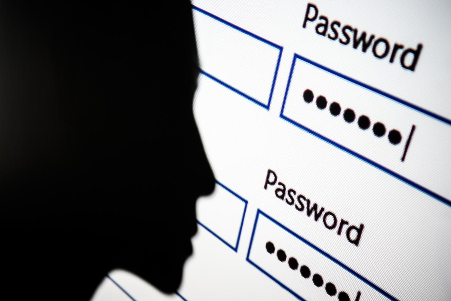 A woman is silhouetted against a projection of a password log-in dialog box.