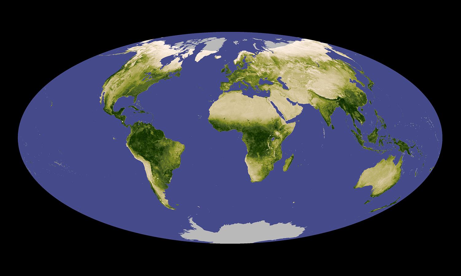 Global vegetation is seen on a satellite image