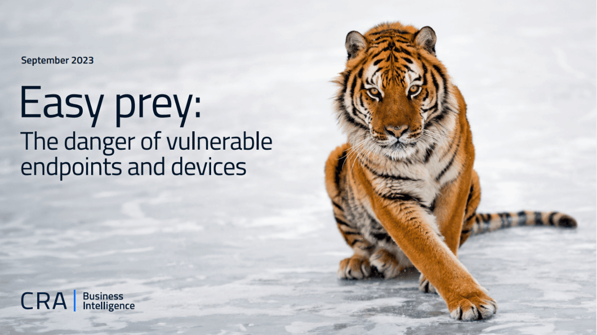 Easy prey: The danger of vulnerable endpoints and devices