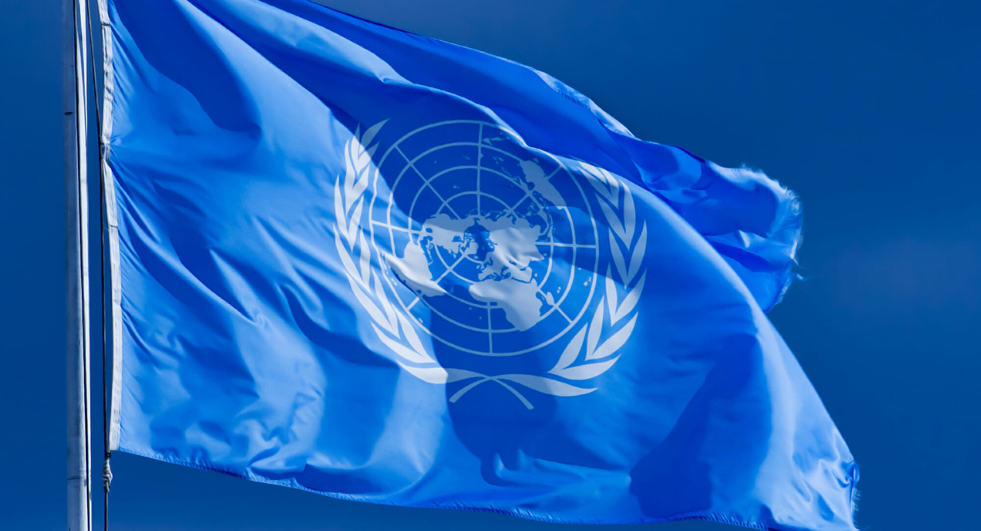 report the united nations